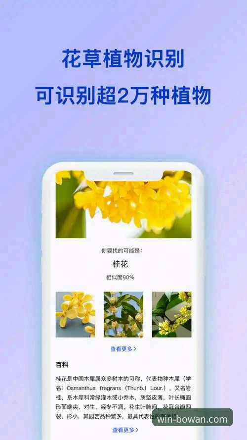 博万官方正版安卓安装包使用指南：从下载到上手的全面解析